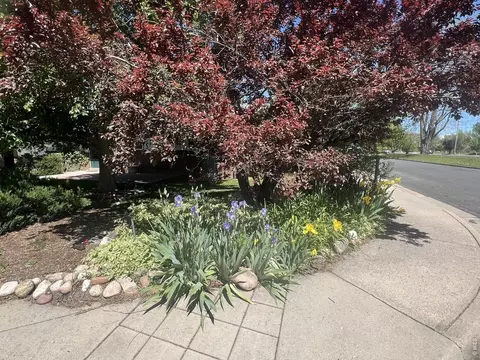 Exterior - 700 33rd St, Boulder, CO 80303 photo 12 of 12