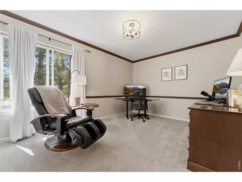 Other - 4364 Haystack Dr, Windsor, CO 80550 photo 9 of 9