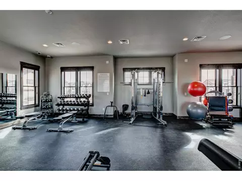 Other - 6672 Crystal Downs Dr #207, Windsor, CO 80550 photo 11 of 14