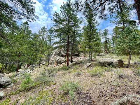 0 Hemlock Dr, Lyons, CO 80540 photo 15