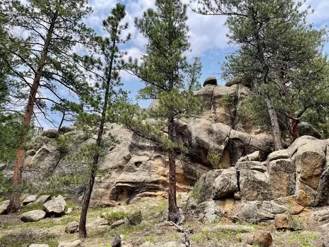 0 Hemlock Dr, Lyons, CO 80540 photo 22