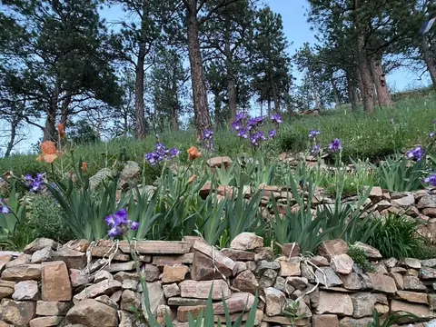 Other - 2706 Crestridge Ct, Boulder, CO 80302 photo 6 of 7