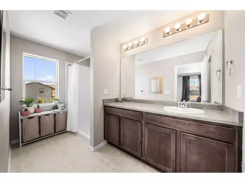 Bath - 1637 Stoll Dr, Windsor, CO 80550 photo 1 of 2