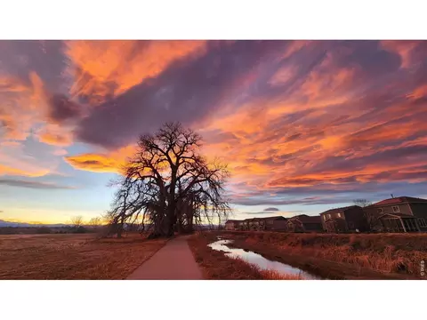 Other - 1637 Stoll Dr, Windsor, CO 80550 photo 6 of 6