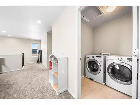 Other - 1637 Stoll Dr, Windsor, CO 80550 photo 5 of 6