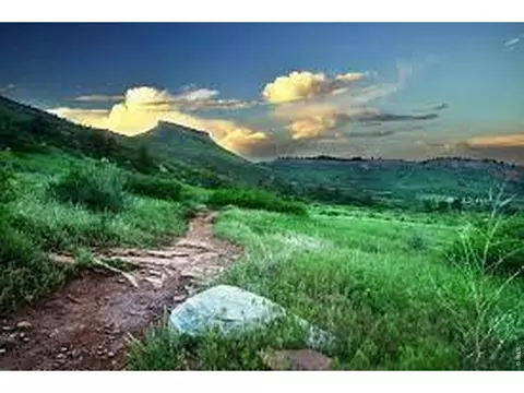 352 Mcconnell Dr, Lyons, CO 80540 photo 18