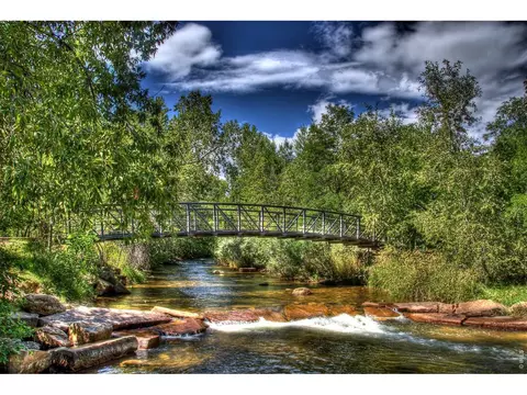352 Mcconnell Dr, Lyons, CO 80540 photo 7