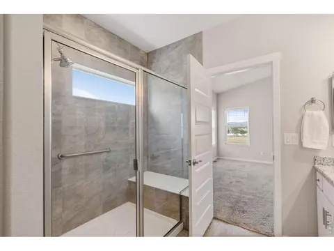 Bath - 5486 Maidenhead Dr, Windsor, CO 80550 photo 2 of 4