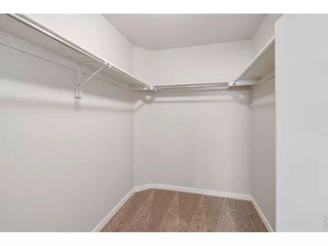 Other - 5486 Maidenhead Dr, Windsor, CO 80550 photo 2 of 10