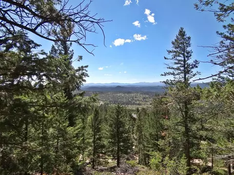 203 Mattapony Way, Red Feather Lakes, CO 80545