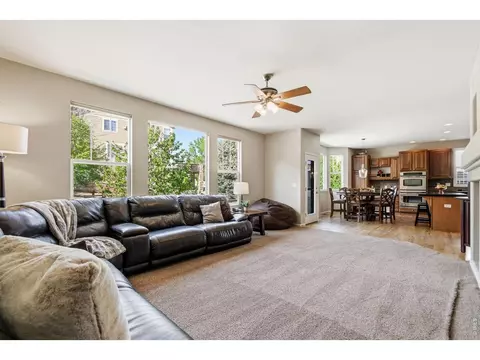 Living - 123 Falcon Ln, Lyons, CO 80540 photo 2 of 9