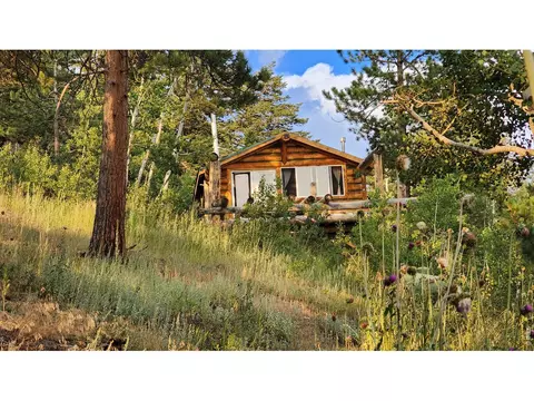7026 Storm Mountain Dr, Drake, CO 80515