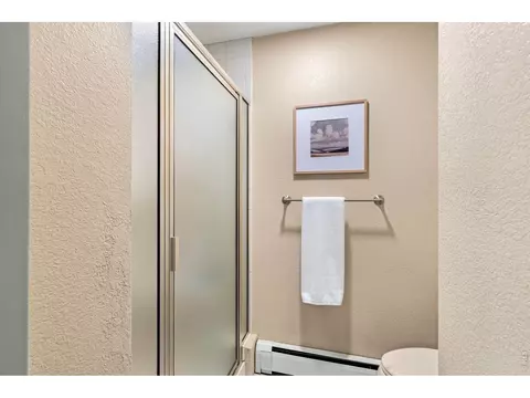 1205 Honeysuckle Ct, Windsor, CO 80550 photo 18