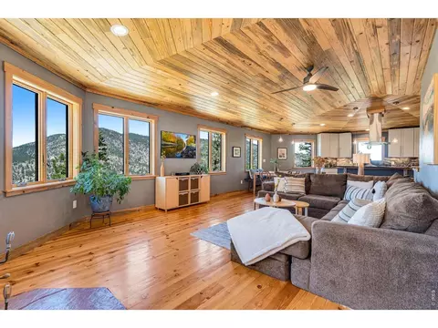 Living - 80 Lookout Dr, Lyons, CO 80540 photo 4 of 5