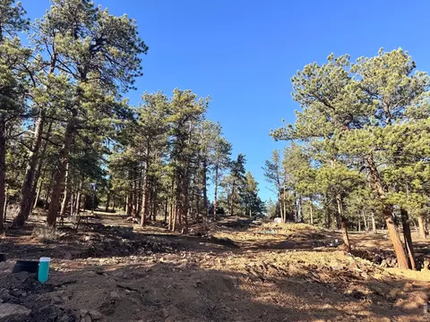 49 Pine Dr, Lyons, CO 80540 photo 12