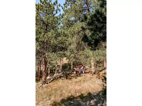 695 Cutter Ln, Boulder, CO 80302 photo 7
