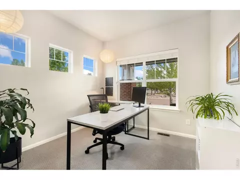 Other - 352 Baja Dr, Windsor, CO 80550 photo 1 of 9