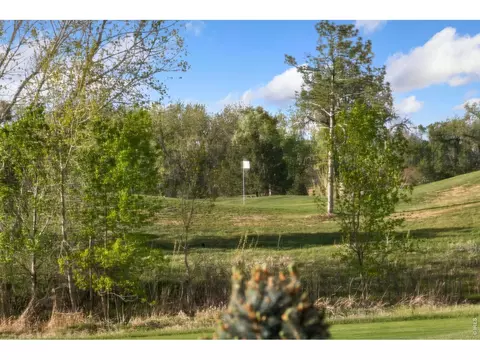 Other - 352 Baja Dr, Windsor, CO 80550 photo 8 of 9