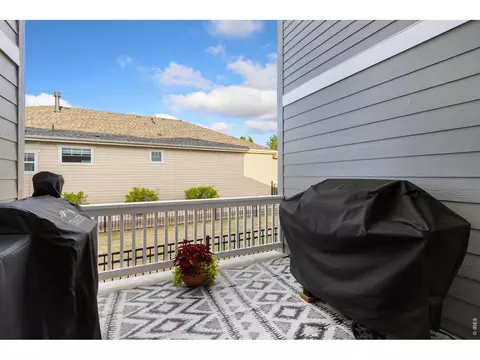 Exterior - 352 Baja Dr, Windsor, CO 80550 photo 3 of 8