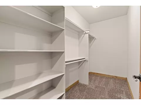 Other - 2036 Vineyard Ct, Windsor, CO 80550 photo 4 of 11