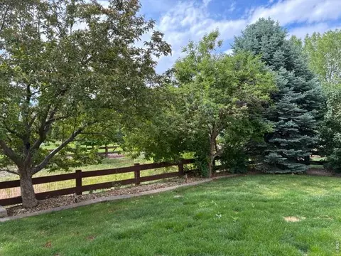 Exterior - 2036 Vineyard Ct, Windsor, CO 80550 photo 6 of 6