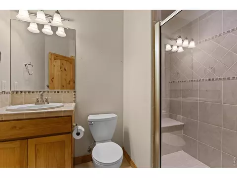 Bath - 2036 Vineyard Ct, Windsor, CO 80550 photo 5 of 5