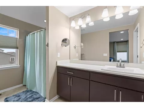 Bath - 1647 Stoll Dr, Windsor, CO 80550 photo 1 of 2