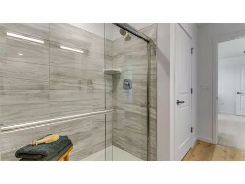 Bath - 824 Trumpet Ln, Windsor, CO 80550 photo 3 of 4