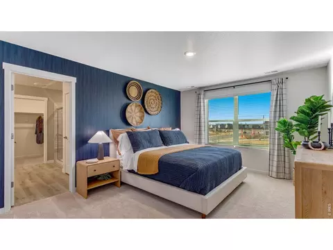 Bedroom - 824 Trumpet Ln, Windsor, CO 80550 photo 1 of 9