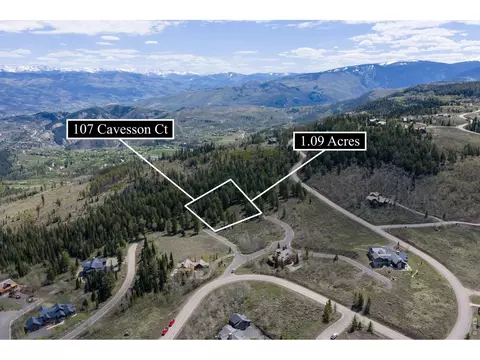 107 Cavesson Ct, Edwards, CO 81632