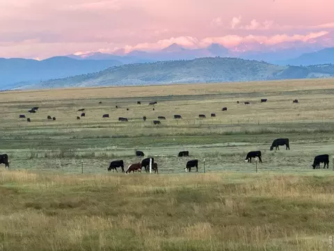 Other - 2153 Mountain River Rd, Berthoud, CO 80513 photo 14 of 15