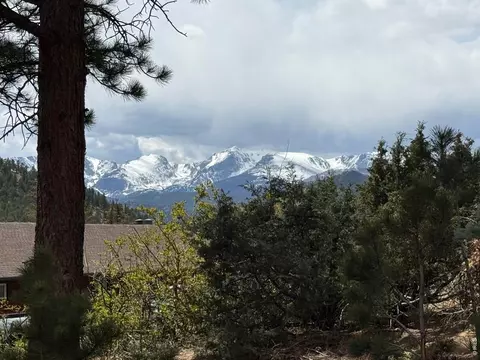 836 Vista Ln, Estes Park, CO 80517
