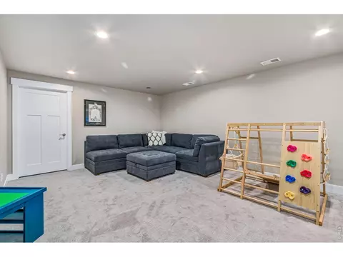Other - 7161 Silver Ct, Timnath, CO 80547 photo 7 of 7