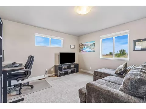 Other - 7161 Silver Ct, Timnath, CO 80547 photo 5 of 7