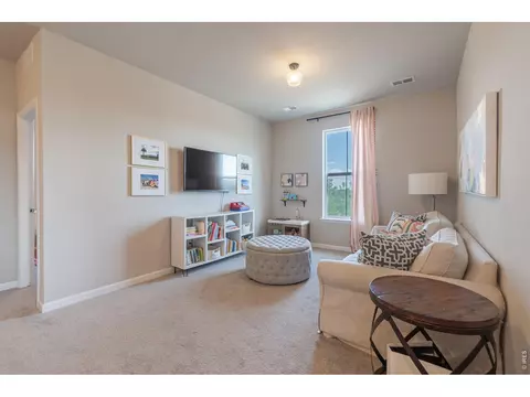 Other - 1766 Bounty Dr, Windsor, CO 80550 photo 6 of 8