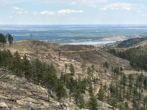 711 Saddle Ridge Rd, Bellvue, CO 80512
