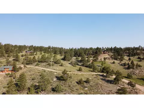 2185 Eiger Rd, Livermore, CO 80536 photo 23