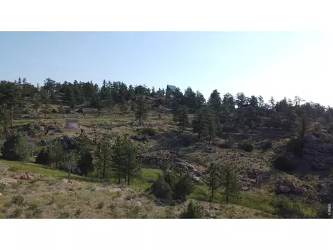 2185 Eiger Rd, Livermore, CO 80536 photo 21