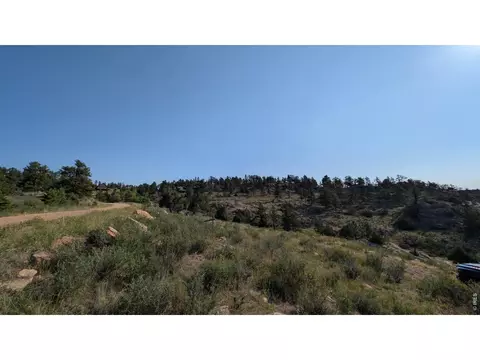 2185 Eiger Rd, Livermore, CO 80536 photo 26