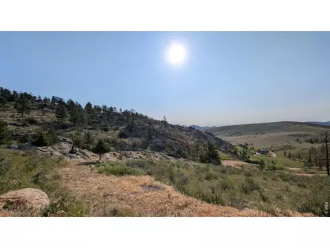 2185 Eiger Rd, Livermore, CO 80536 photo 27