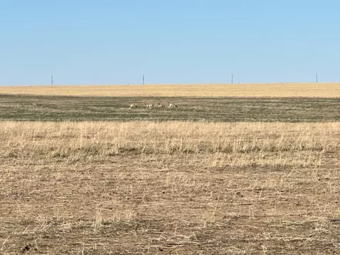 100 4 Rd, Arlington, CO 81021