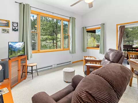 Living - 1002 Streamside Dr, Glen Haven, CO 80532 photo 4 of 6