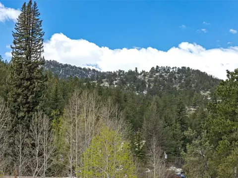 Exterior - 1002 Streamside Dr, Glen Haven, CO 80532 photo 5 of 9