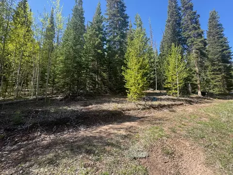 44 Wilderness Rd, Walden, CO 80480