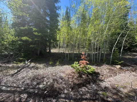 44 Wilderness Rd, Walden, CO 80480 photo 3