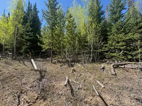44 Wilderness Rd, Walden, CO 80480 photo 6