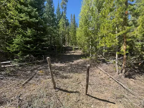 44 Wilderness Rd, Walden, CO 80480 photo 7