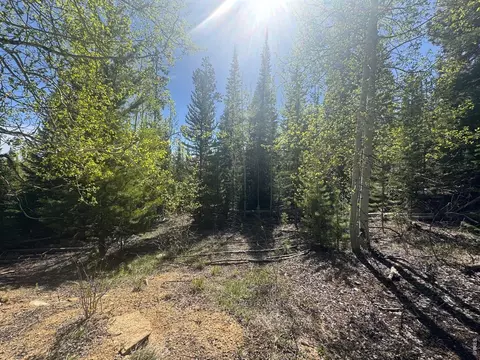 44 Wilderness Rd, Walden, CO 80480 photo 2