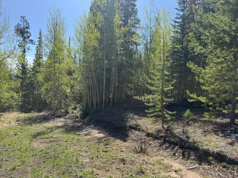 44 Wilderness Rd, Walden, CO 80480 photo 4