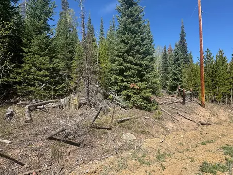 44 Wilderness Rd, Walden, CO 80480 photo 5